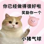 刘筱昀头像