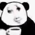 Indiefoxxx头像