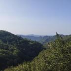 苏逸宝头像