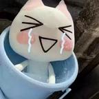 小小言＾头像