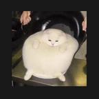 辣肉粽头像