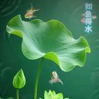 叶落倾情头像