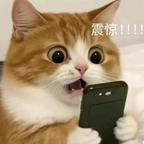 爱吃土豆丸的肖公子头像