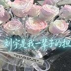 宇滴鑫鞠曦鹿赫头像