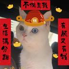 喵喵夏桑有鸣蜩头像