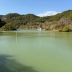 君子和而不同头像