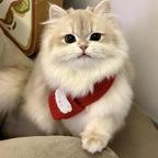 WW头像