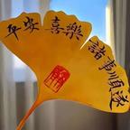 宝儿❤️♥头像