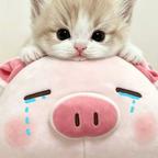 常失眠^头像