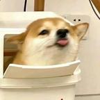 嘿嘿头像