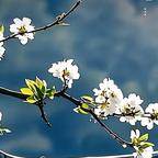 帅气恩公老王头像