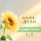 🍀小໊幸໊运🍁头像