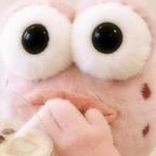 柚子头像