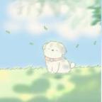 Camellia.头像