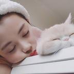 爱打盹的猫头像
