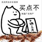我真的不骑着双马尾飞头像