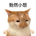 爱看脑残剧怎么你了头像