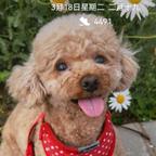 寻觅头像