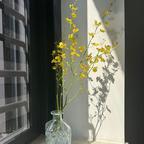 睡眼惺忪的秦家继承人头像