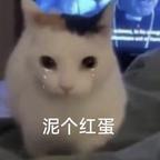 看剧还得起名头像