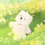 西药笑啊头像