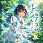永新苏弦头像