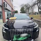 青青河边草头像