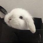 i头像