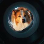 君爱看剧头像