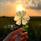 爱温暖如初头像