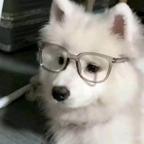 玖玹头像
