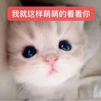 栗栗头像