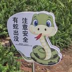 围观小马甲头像
