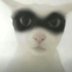 女主全肯定头像