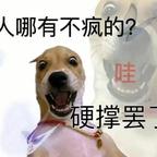 笑脸哈士奇头像