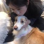 Yuuan.*头像