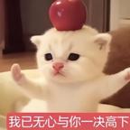 用户名1头像