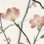 花开富贵头像