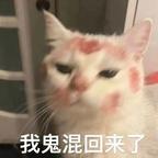 YUK头像