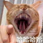 天赋横溢的国士楚天头像