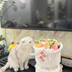 我要我的头像