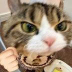 一只啵^头像