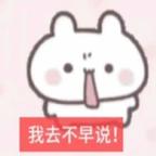 不拍没档期头像