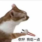 战神皓头像