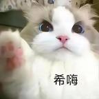 本中头像