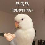 剧集数没破百就划走头像
