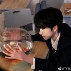砚秋.gentle头像