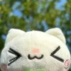 可爱的小猫呀^V^?头像