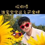 独宠豪门的叶疏桐头像