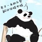天天🌸爱憨憨艺头像